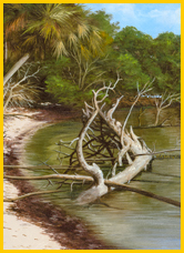 Emerson Point Shoreline in Bradenton