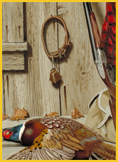 Ring Necked Pheasant