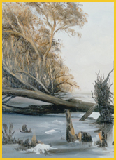 Hunter Island in Beaufort