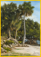 Emerson Point in Bradenton