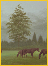 Misty Morn