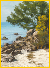 Rocky Point in DeSoto National Park