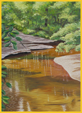 Woodstock Stream